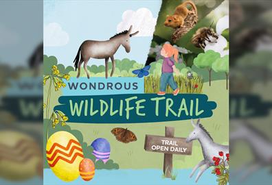 Wonderous Wildlife Easter Trail