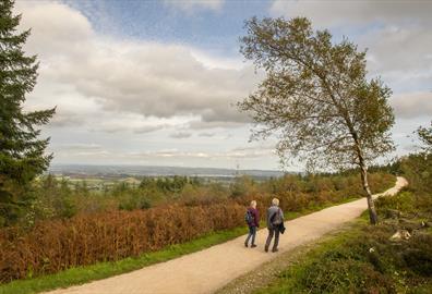 Strolling through Haldon Forest Park and enjoying the stunning views