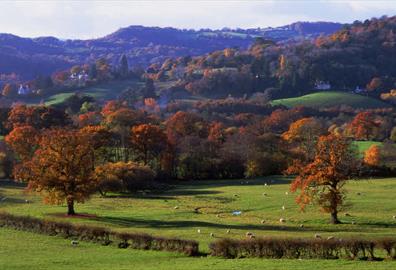 Lustleigh, Dartmoor - landscape views