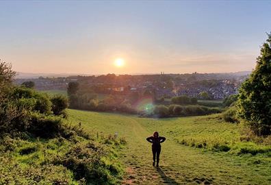 Ludwell Valley Park