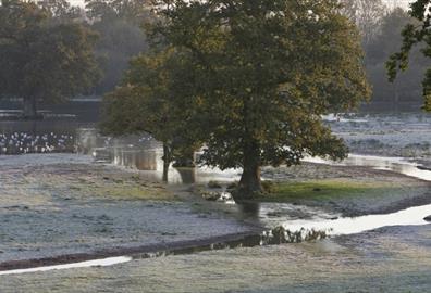 Matford Marsh landscape