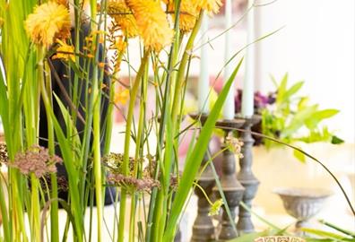 Fun Flower Arranging Workshop