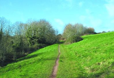 Mincinglake Valley Park