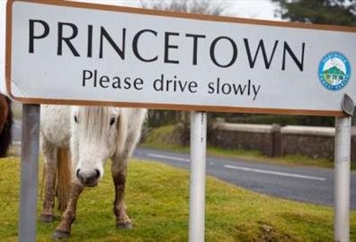 Princetown