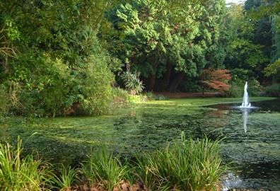 Exeter University Gardens