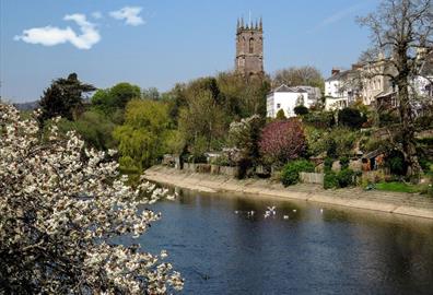 The River Exe