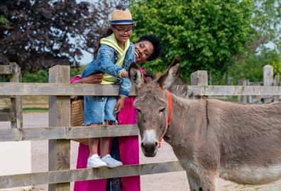 The Donkey Sanctuary