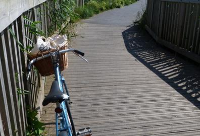 Exe Estuary Trail, vintage bike (c) mathilde le floch