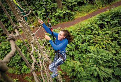 Go Ape Haldon