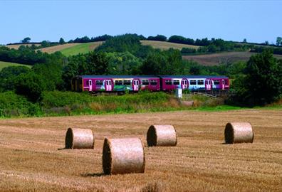 The Tarka Line - field