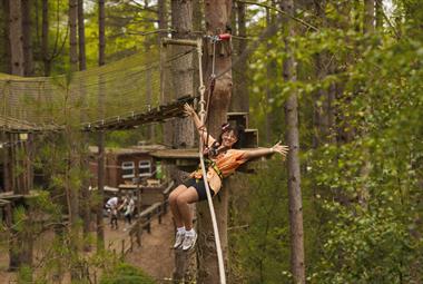 Summer fun at Go Ape Haldon