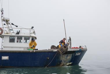 From sea to shop with fresh local seafood.