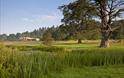 Killerton pond