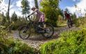 Cycling at Haldon Forest Park