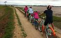 Darts Farm Cycle Hire