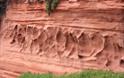 Dawlish Warren Cliffs: Photo supplied by Craig Dixon, DCC