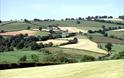Exe Valley view