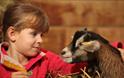 Child with a goat
