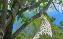 University of Exeter Sculpture Walk