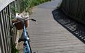 Exe Estuary Trail, vintage bike (c) mathilde le floch