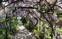 Pinces Garden