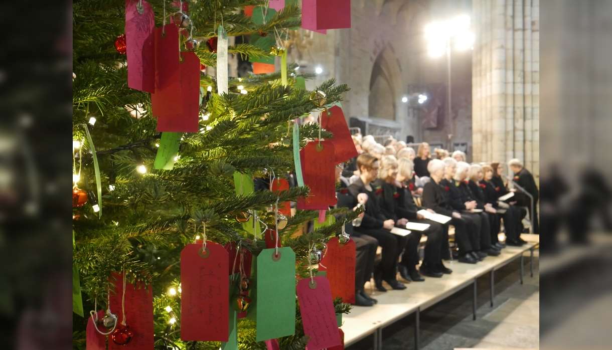Carols in the Cathedral