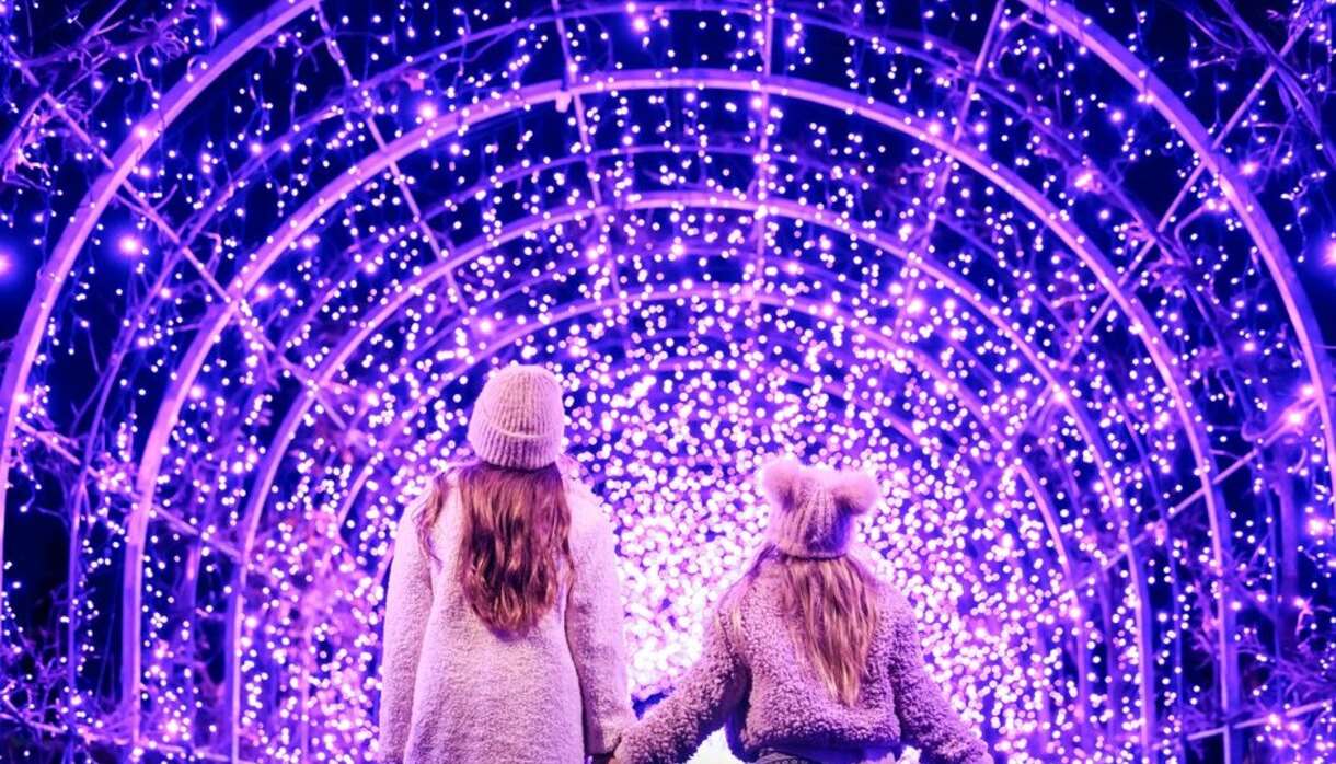 RHS Glow Illuminations