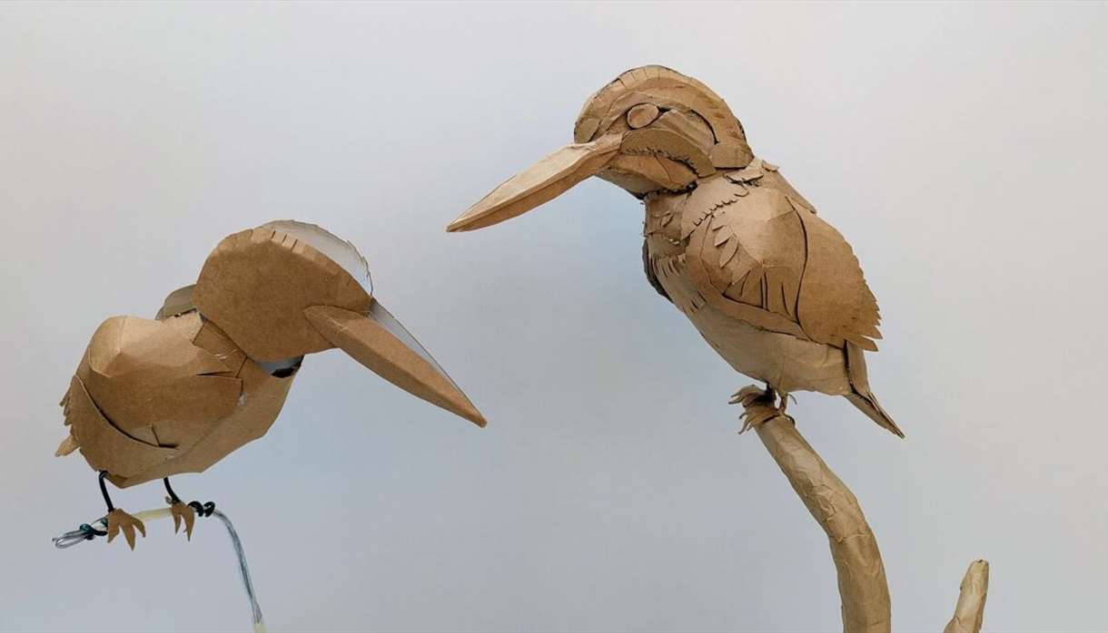 Cardboard Kingfisher Workshop