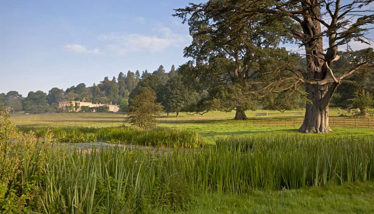 Killerton pond