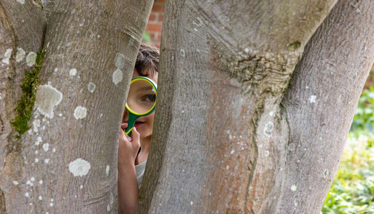 Easter Detectives: Who Framed the Easter Bunny?