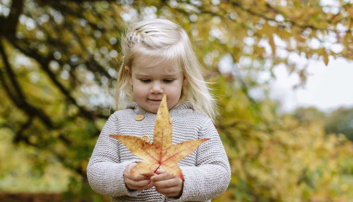 Half Term:Wicked Plants and Creepy Creatures