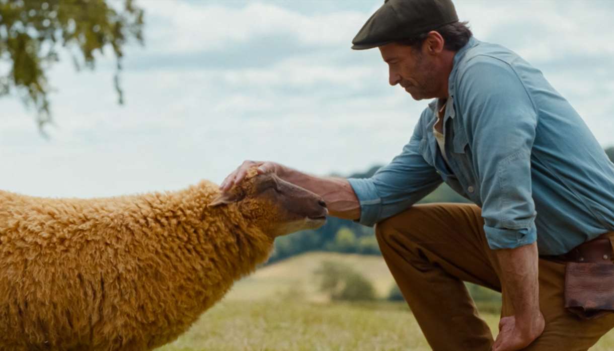 The Sheep Detectives