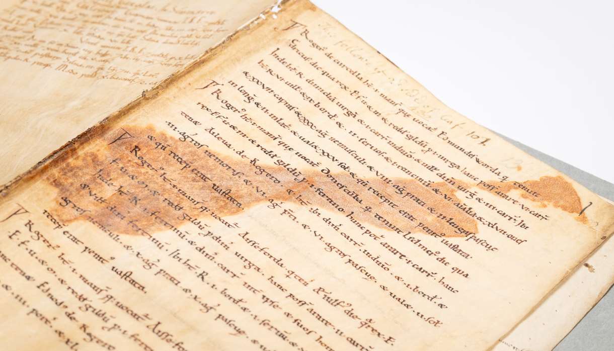 Annual Library Lecture: The Secrets and Silences of Exon Domesday