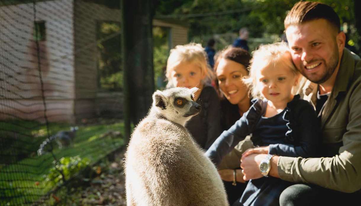 Family in Lemur Wood