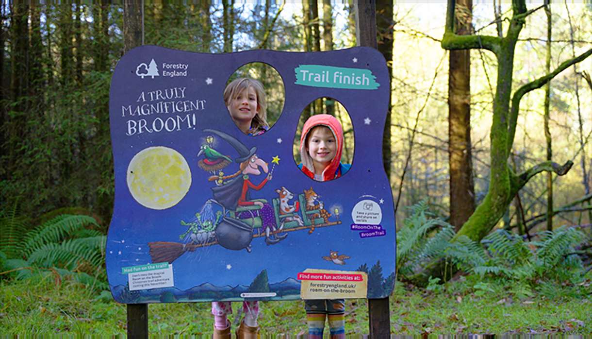 Room on the Broom trail at Haldon Forest Park