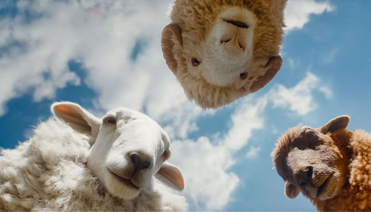 The Sheep Detectives