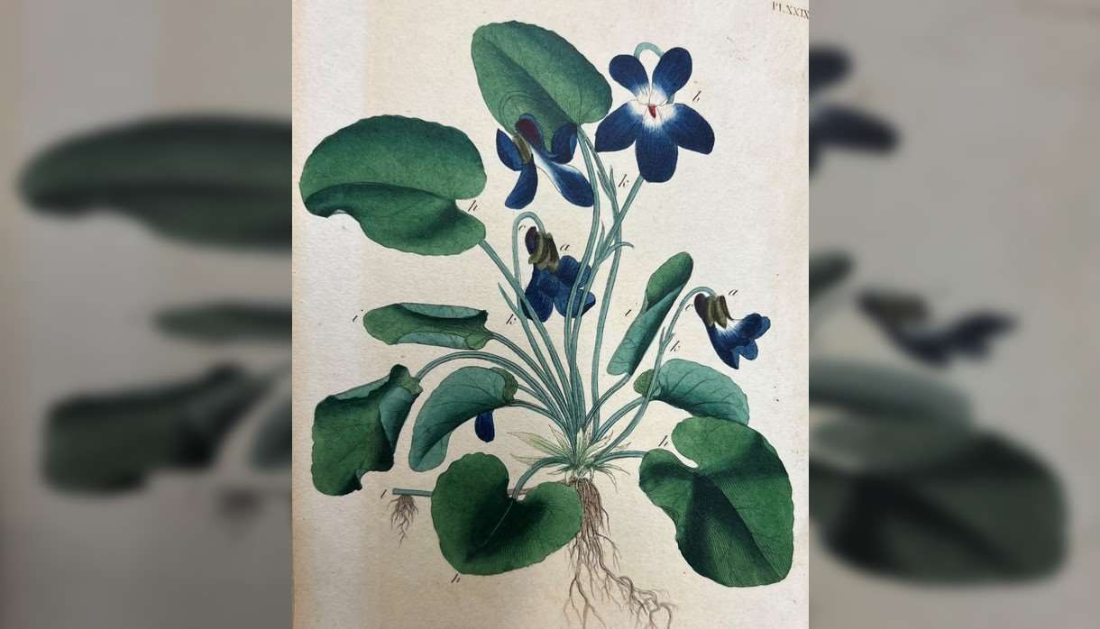 Art of the Book: Illustration in Early Printed Books