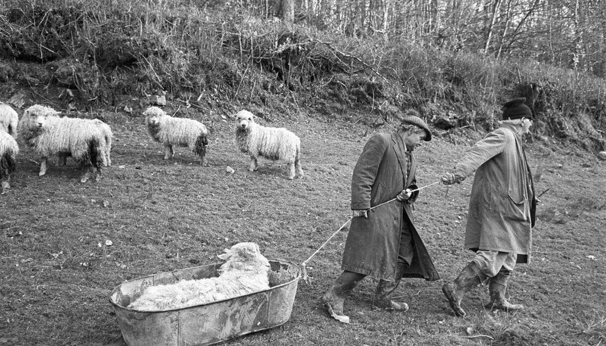 James Ravilious