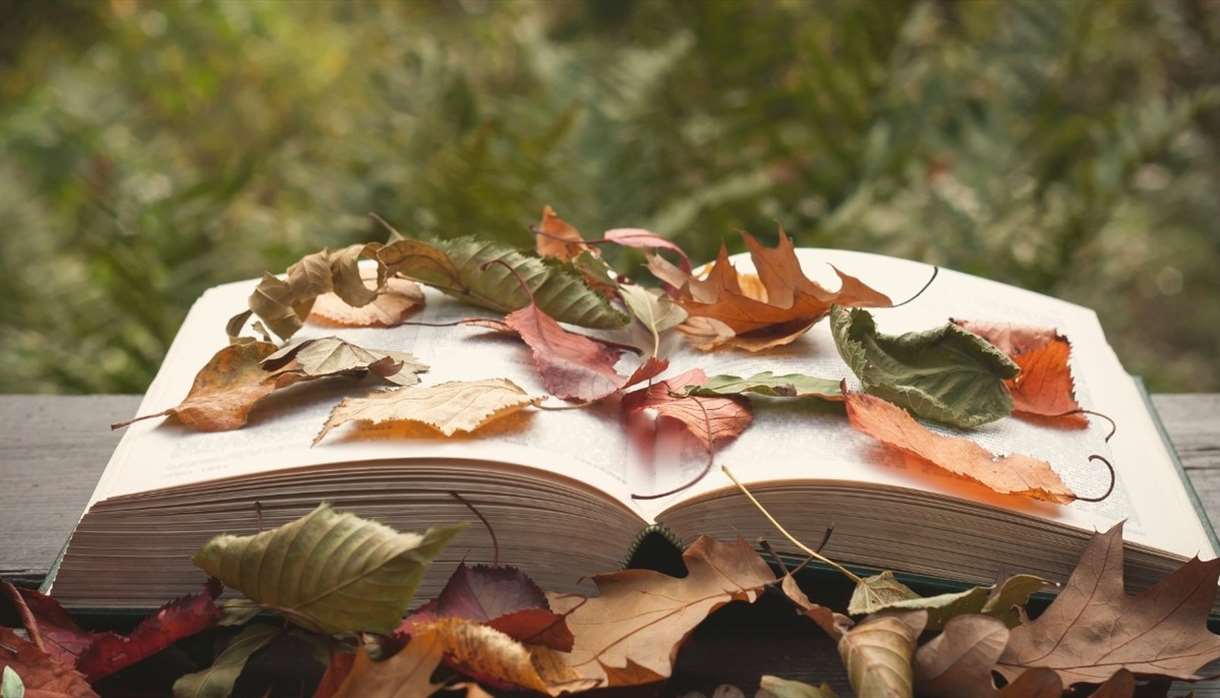 Nature and the Wild Storytelling