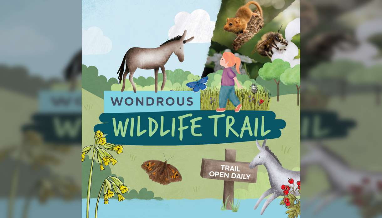 Wonderous Wildlife Spring Trail