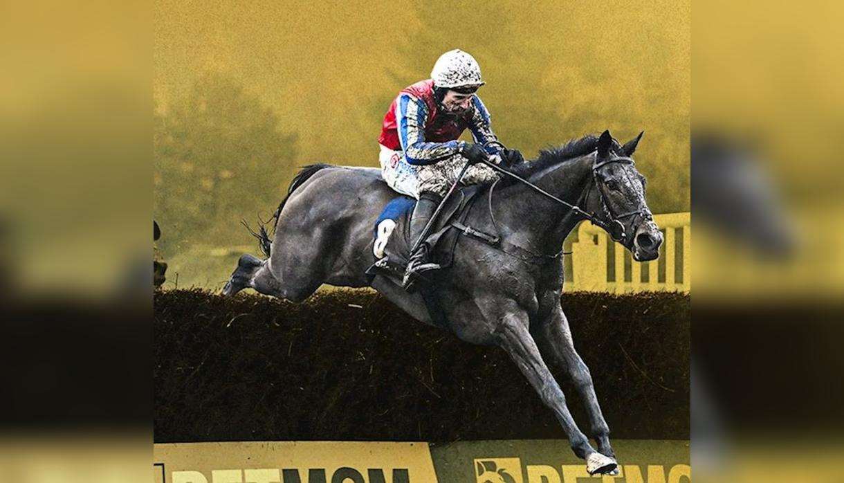 The Day Devon Stops for Racing - Betmgm Haldon Gold Cup