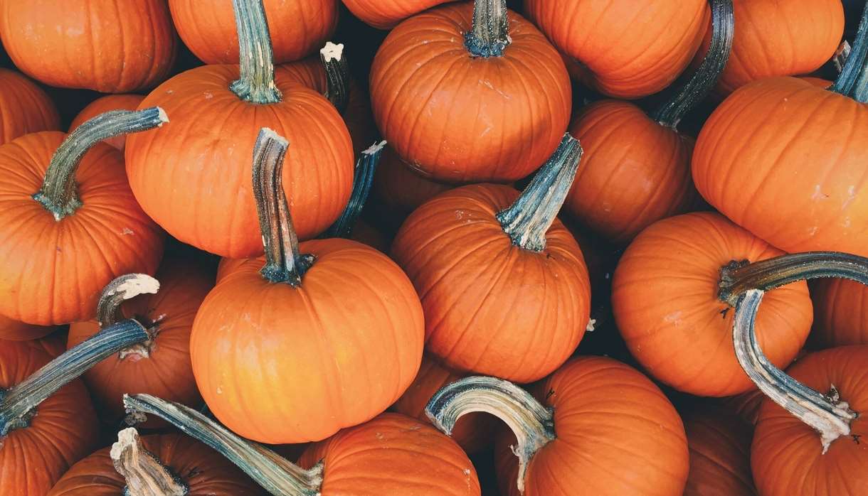 Pile of small orange pumpkins