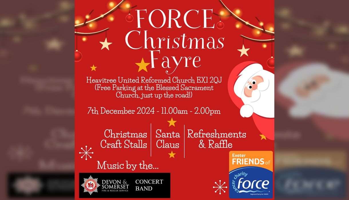 Force Christmas Fayre