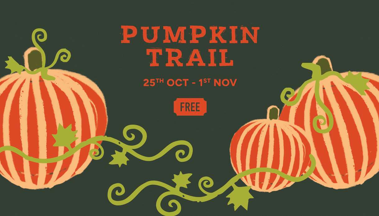 Greendale Pumpkin Trail