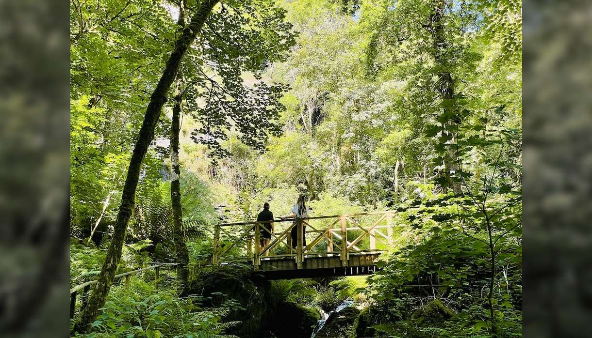 Canonteign Falls Season Opening