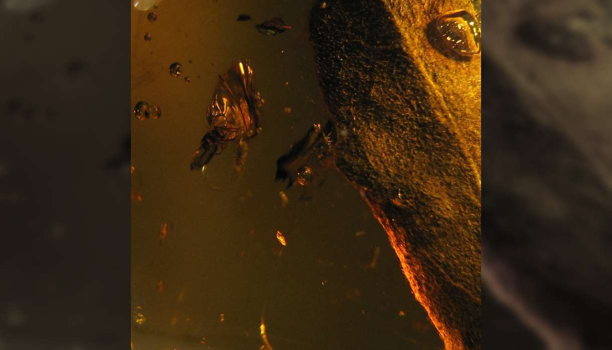 Ben Hartley: Through Yellow Light