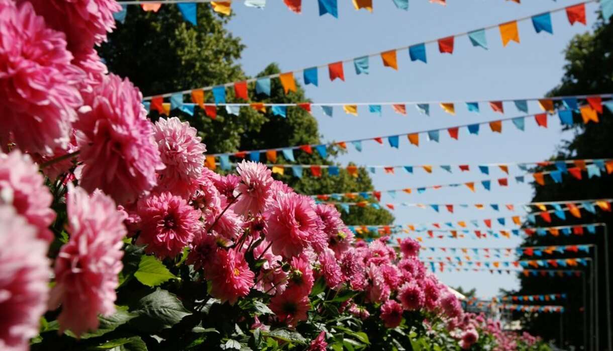 Rhs Rosemoor Garden Festival