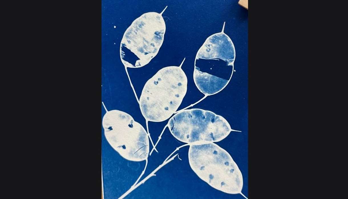 Cyanotype workshop - make a cyanotype Christmas card