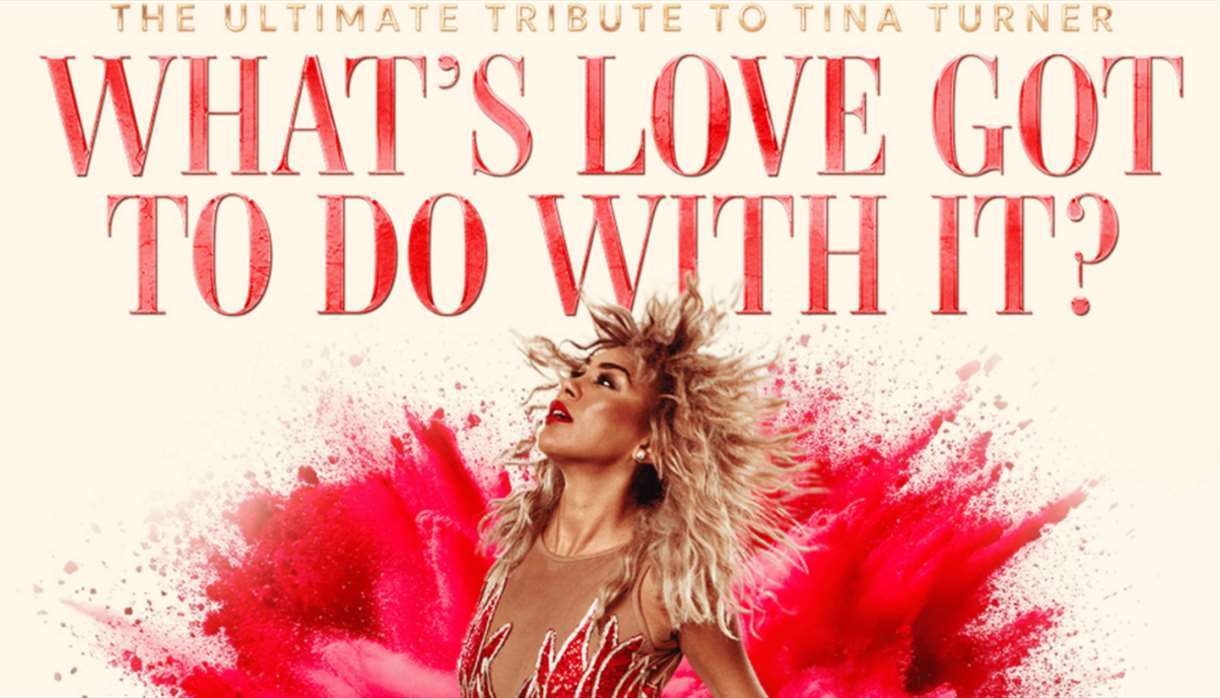 What's Love Got To Do With It?