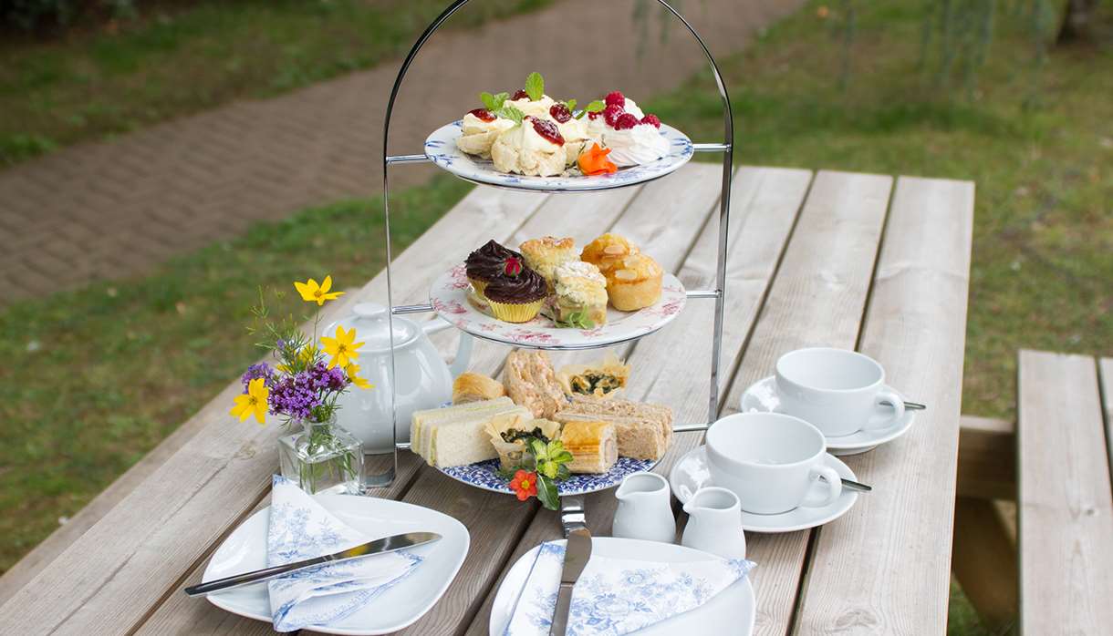 Afternoon Tea at Bernaville Nurseries